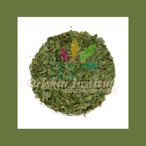 Coriandre feuilles - Herbes
