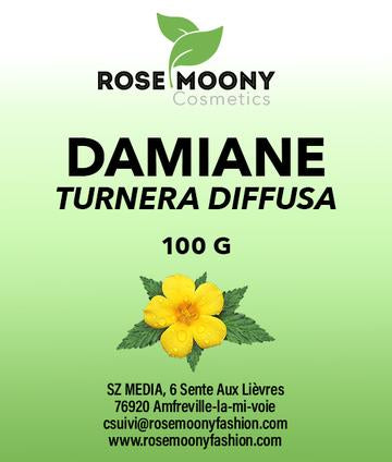 Damiane Feuilles Séchées Et Coupées - Herbe Médicinale