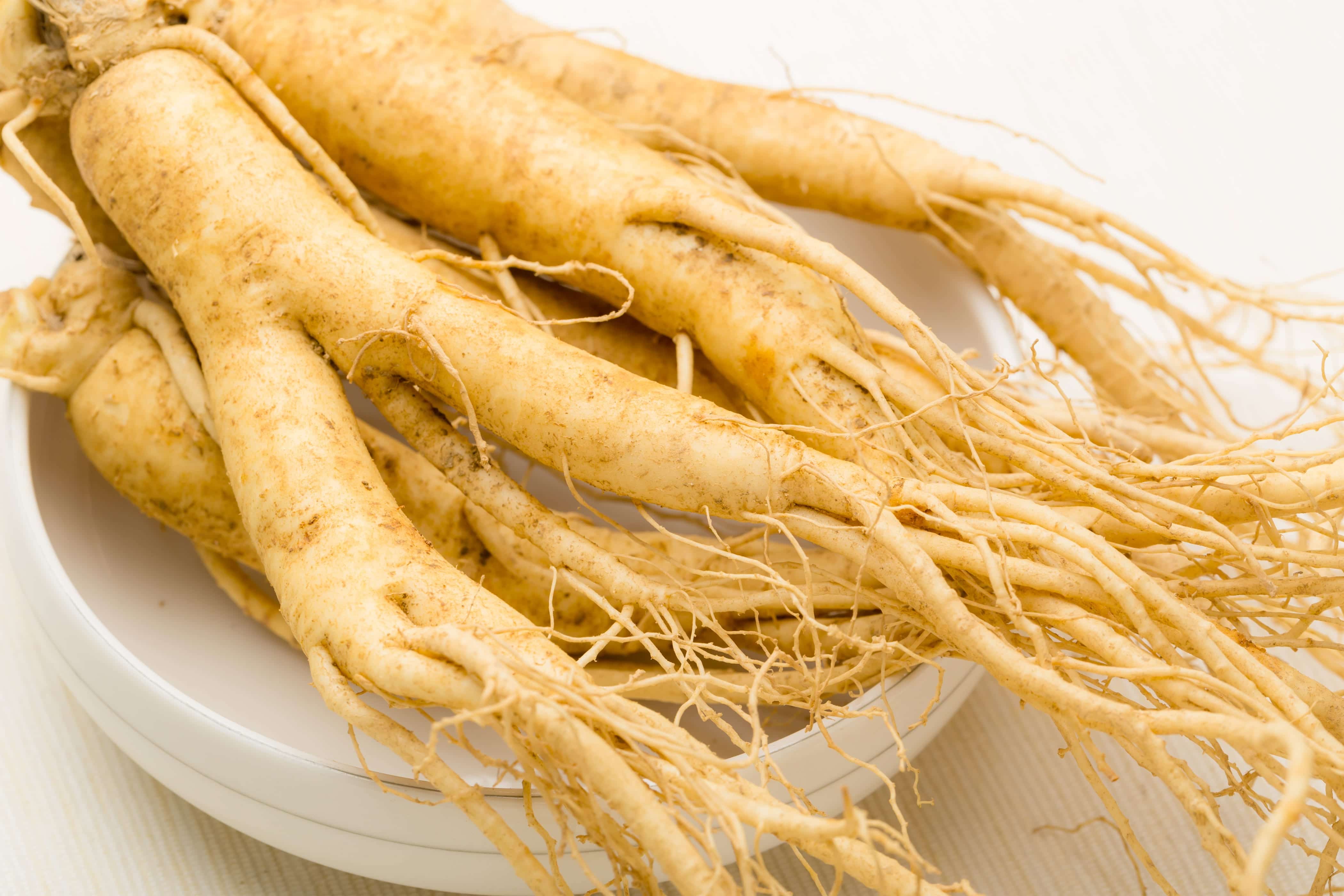 Eleutherococcus (Ginseng) racine - Herbe
