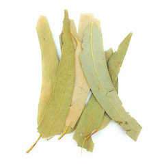 Eucalyptus feuille - Herbe