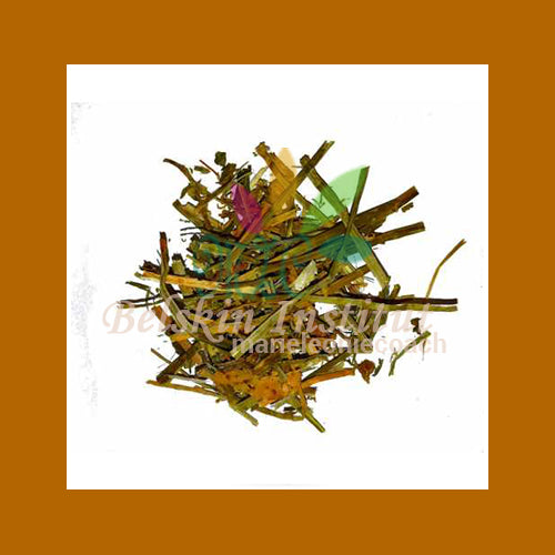 Luzerne plante coupée - Herbes