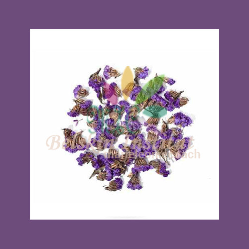 Mauve fleur - Herbes