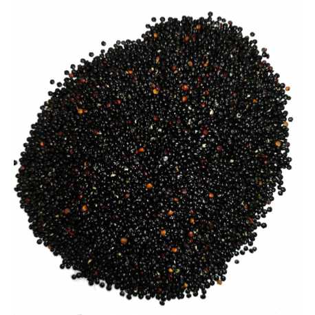 Quinoa noir - Epice