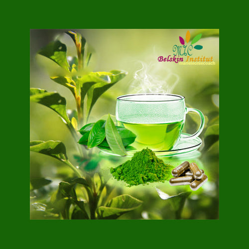 Super Thé Vert - Antioxydent - Stimulent pur - Antifatigue - Polyphénols - Catéchines - EGCG - Caféine